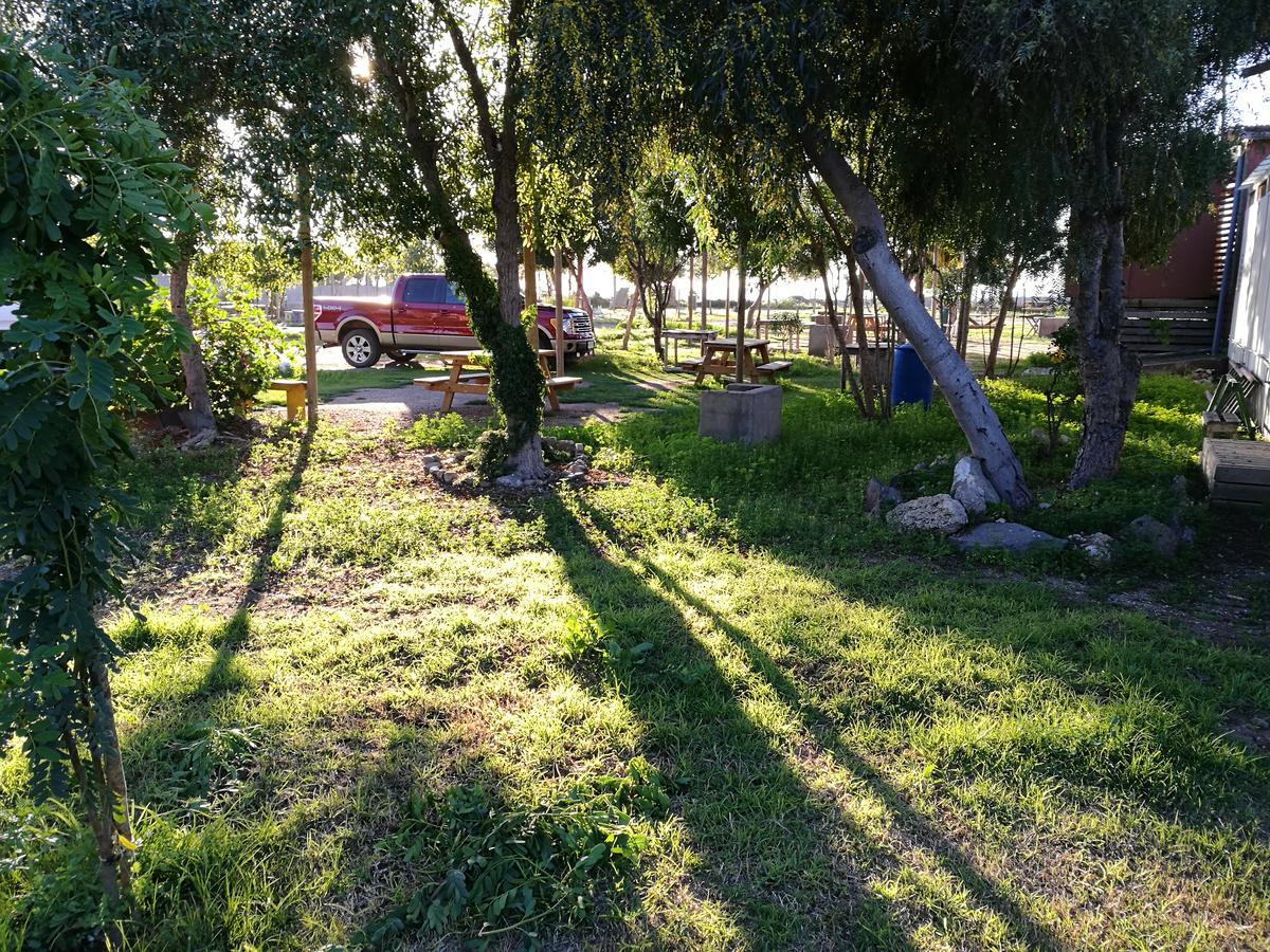 Cabanas Y Camping Mar Azul Hotel Guanaqueros Buitenkant foto